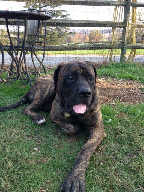 Drake-HUGE BOY!