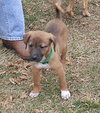 Maggie