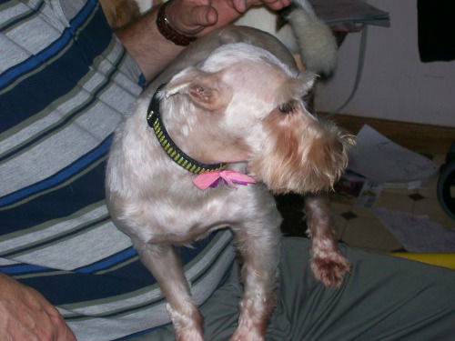 Sally