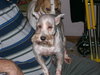 Sally