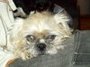 Chloe