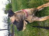 Abbie