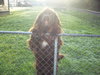 Teddy-BEAR
