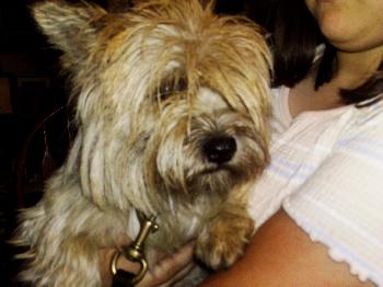 Molly