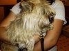 Molly
