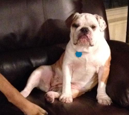 Daisy