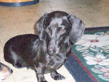 Suzie