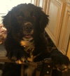Charlie