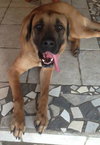 Heidi