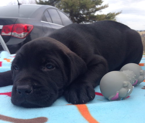 Sleepy