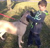 Cesar