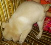 Emma