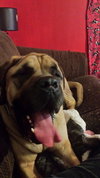 Zeus