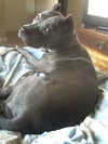 Lola
