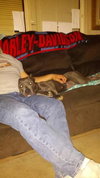 Lola