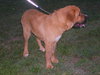 Clifford