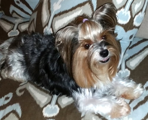 Betthany