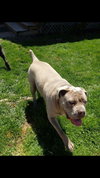 STELLA!!!!