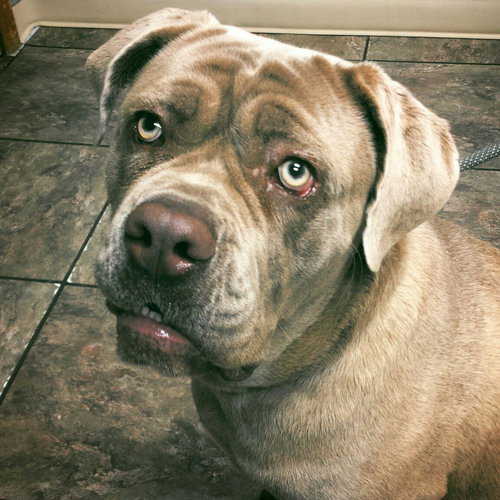 STELLA!!!!