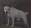 Benny
