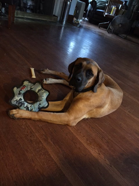Doris
