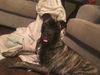 Maxx (located in Columbus OH)