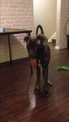Maxx (located in Columbus OH)