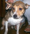 Addie