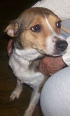 Addie