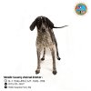 adoptable Dog in mobile, AL named MISSY