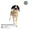 adoptable Dog in mobile, AL named MOE
