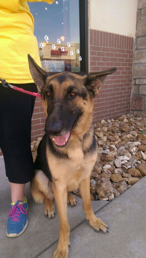 Rocky (8.18)