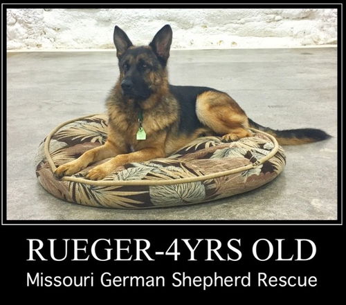 Rueger