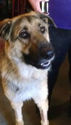 Rosco