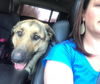 Rosco