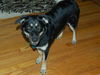Robyn (AKA ''Annie'')