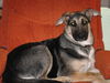 Shadow (in 7-09)