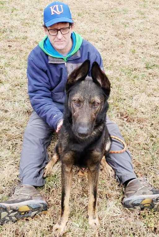 adoptable Dog in North KC, MO named Sherlock