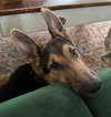 Atlas - Photo 2
