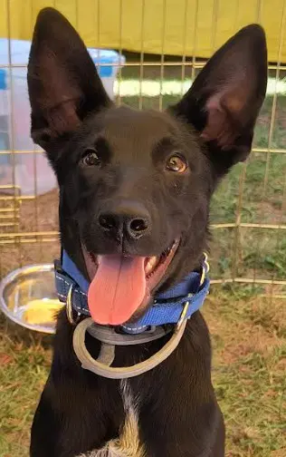 Loki image 3