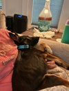 Thor - Photo 5