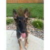 Thor - Photo 6