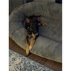 Thor - Photo 7