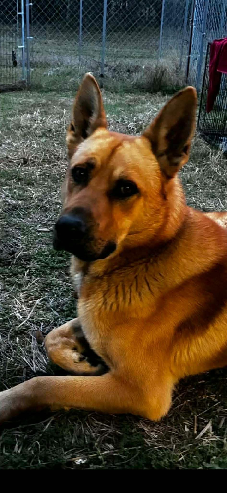 Bodie Image
