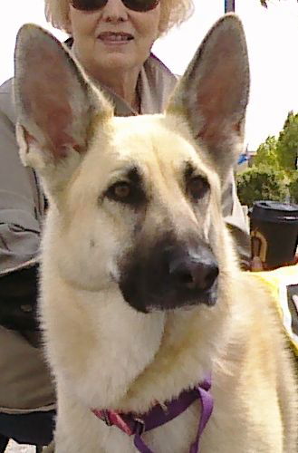 Roxie (in 2010)