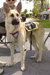 Roxie (in 2010)