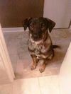 Winnie