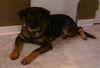 Winnie