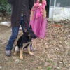 Teena