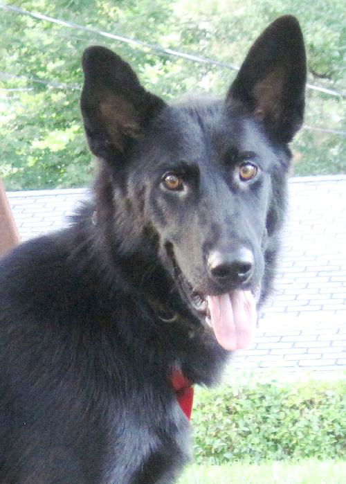 Spencer